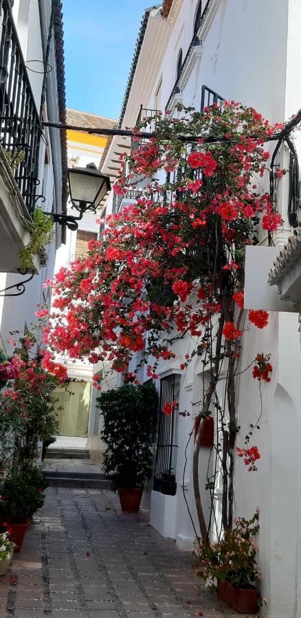 Precioso Y Acogedor Atico Old Town Appartement Marbella Buitenkant foto